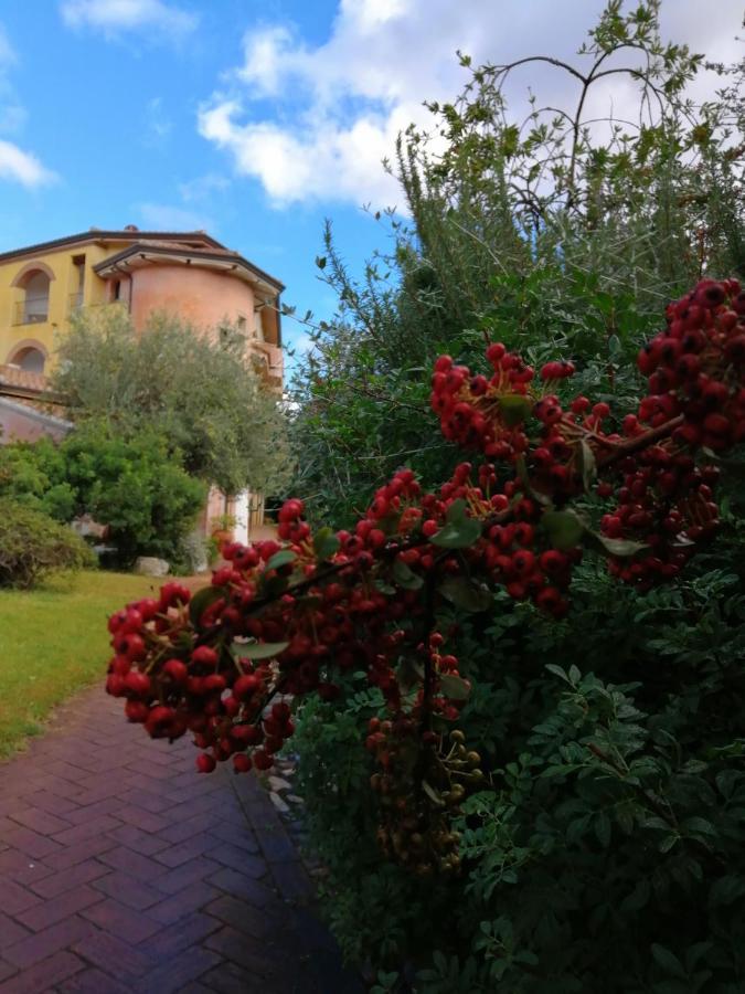 Locanda Tipica Sa Corte Oliena Exteriér fotografie
