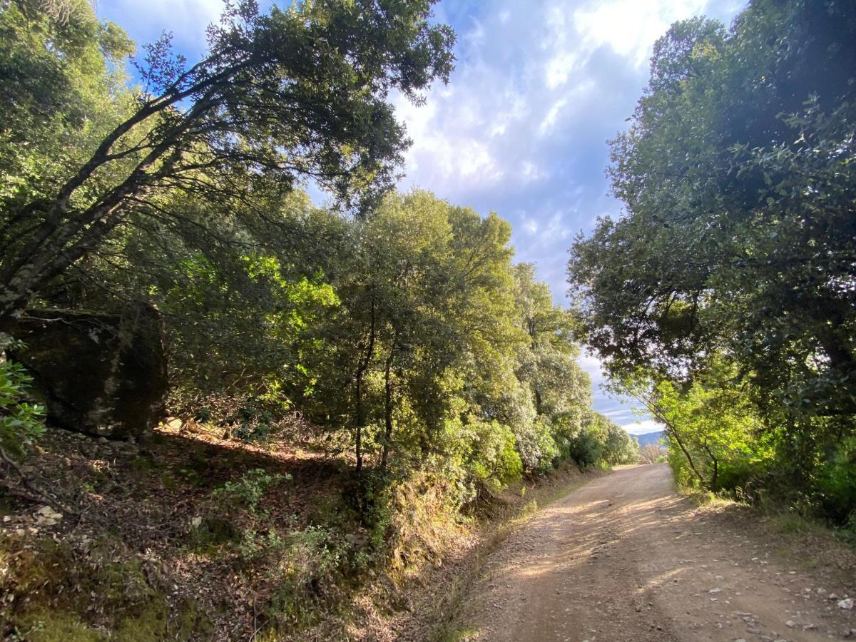 Locanda Tipica Sa Corte Oliena Exteriér fotografie