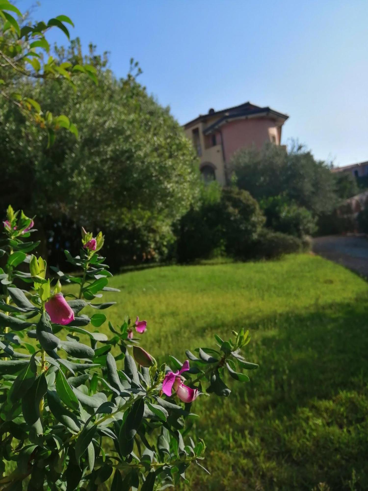 Locanda Tipica Sa Corte Oliena Pokoj fotografie
