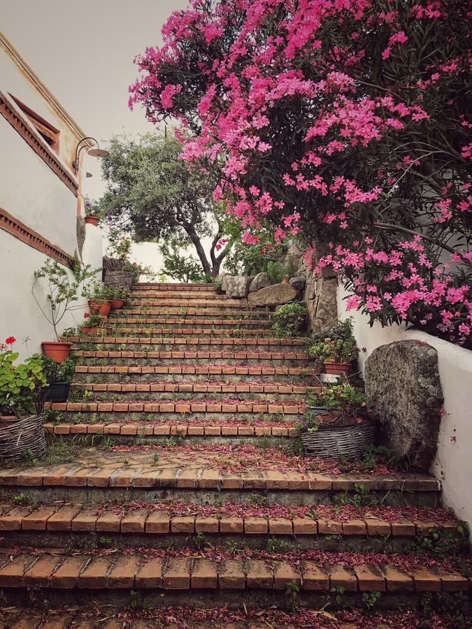 Locanda Tipica Sa Corte Oliena Exteriér fotografie